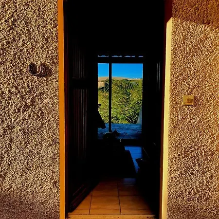 Suis Le Soleil